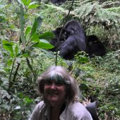  Kathy poses with a Gorilla (Rwanda)